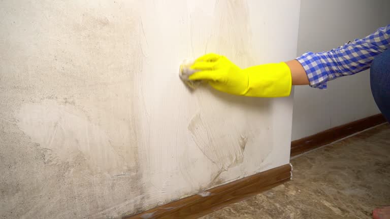 Best Mold Odor Removal Services  in Manasquan, NJ