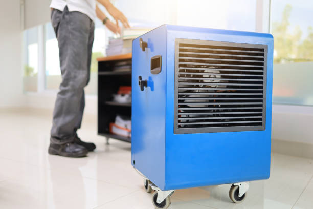 Best Mold Removal for HVAC Installations  in Manasquan, NJ