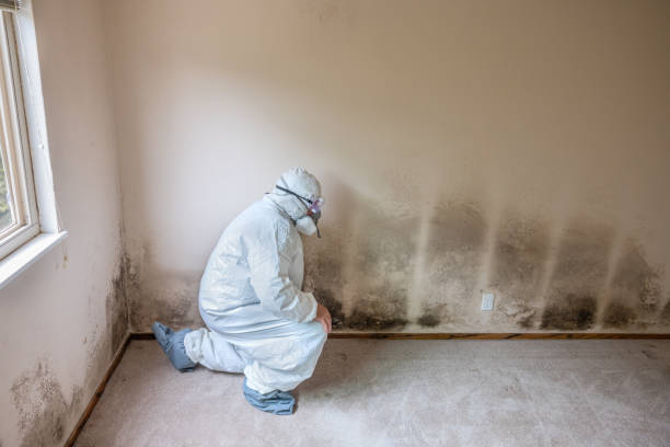 Best Crawl Space Mold Remediation  in Manasquan, NJ